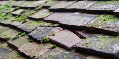 West Hewish roof repair costs